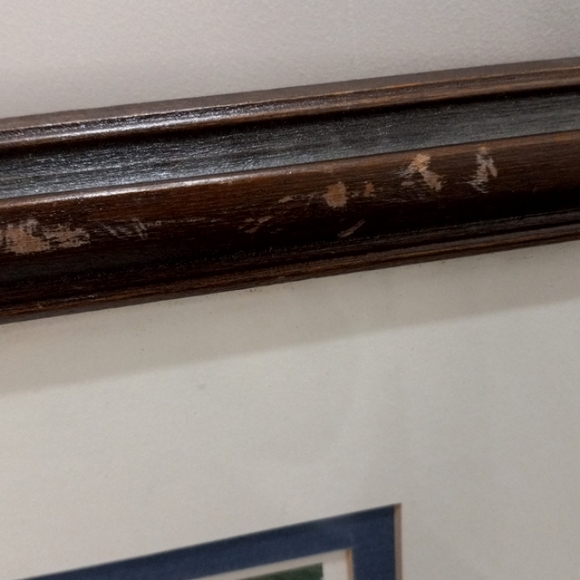 Signed & Numbered Majesty Of The Seas WaterColor by Eileen Seitz - Picture 9 of 9